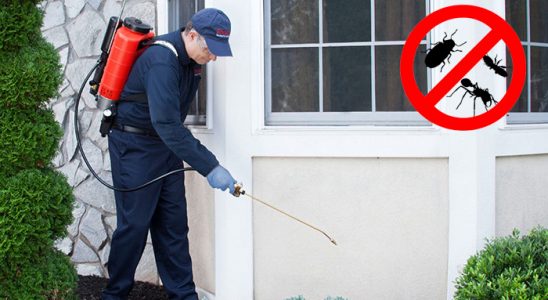 Çameli Bit İlaçlama böcek ilaçlama ve haşere kontrolü — ilaclama-tr.com
